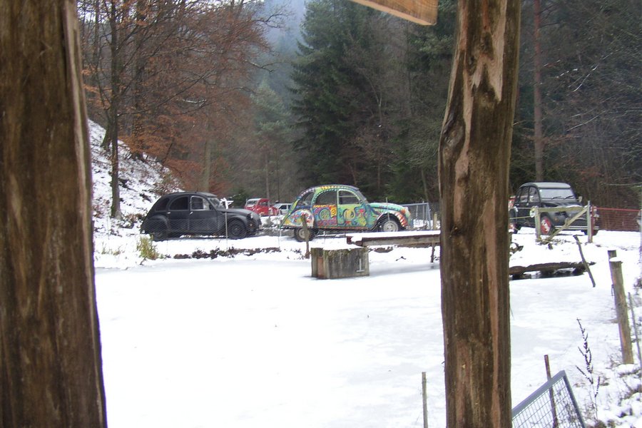 Eisbärentreffen bei Ossis Teich - Dezember 2003